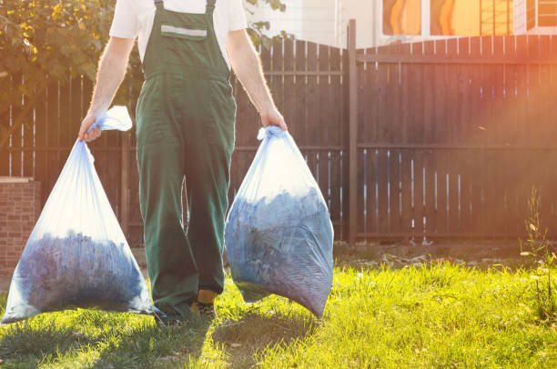 Best Carpet Removal and Disposal  in Glenwood, MN